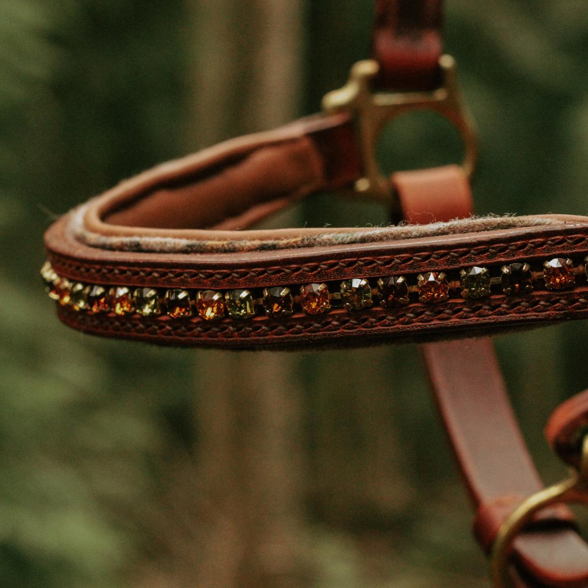 Moorland-Anatomisch-Swarovski2