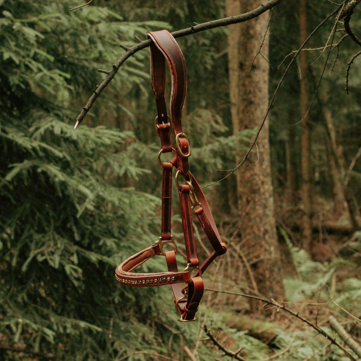 Moorland-Anatomisch-Swarovski1