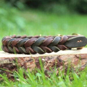 Hundehalsband Fettleder geflochten Braun & Grün