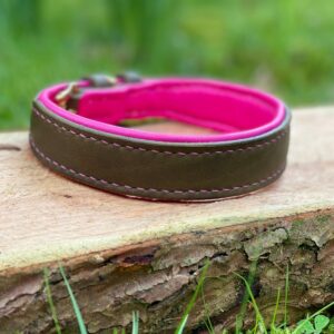 Hundehalsband Fettleder Olivgrün & Pink